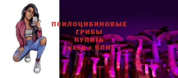 дживик Осинники