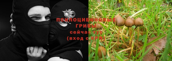 дживик Осинники